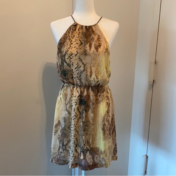 Kensie sheer snakeskin cocktail dress with open back. Fully lined. Size small. - Picture 1 of 9